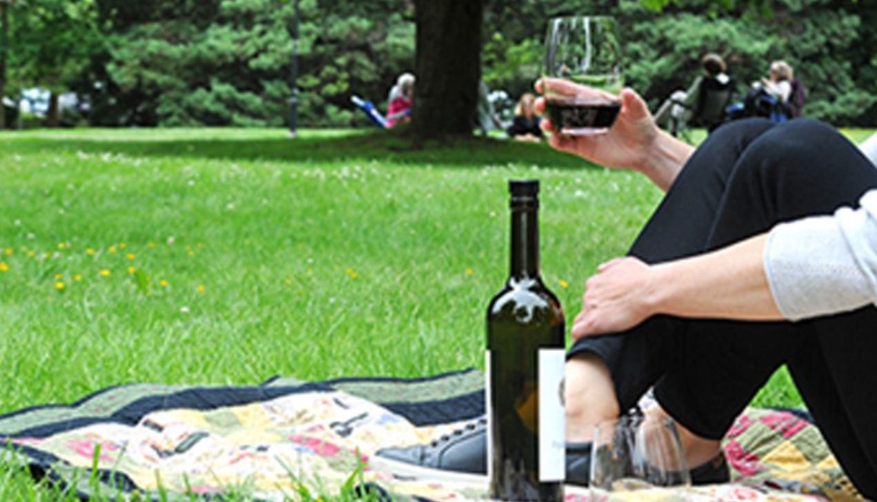 Toronto Will Soon Allow Drinking Alcohol in Parks