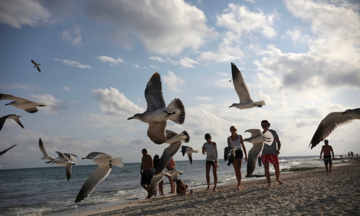 Mexico frees 20 kids who worked 12 hour days selling snacks at Playa del Ca …