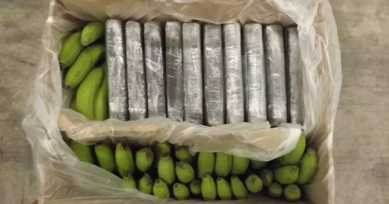Spain Seizes Record 9.5 Tonnes Of Cocaine From Ecuador