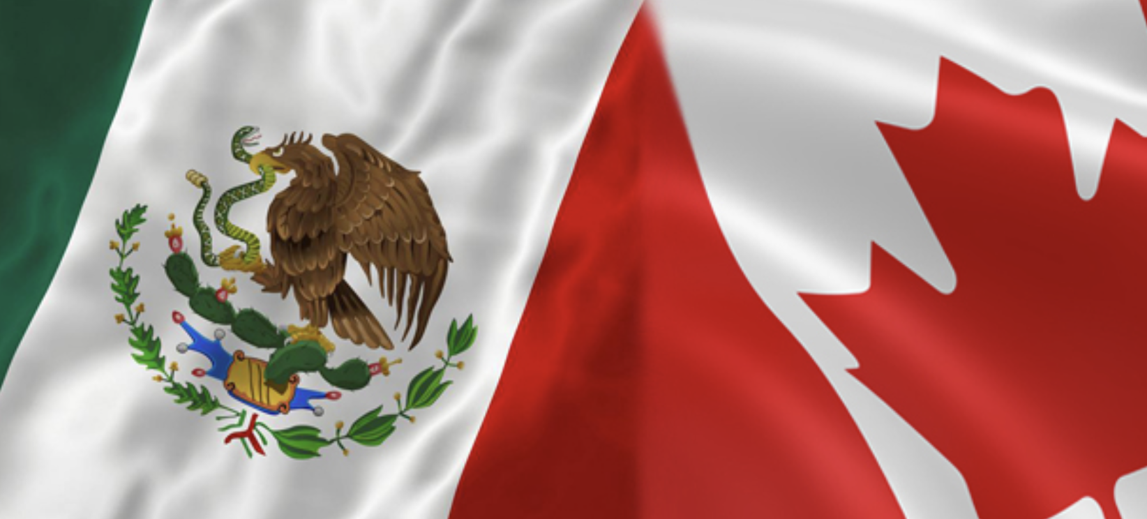 Canada’s Mexico visa rule change ‘had to happen’ after massive spike  …