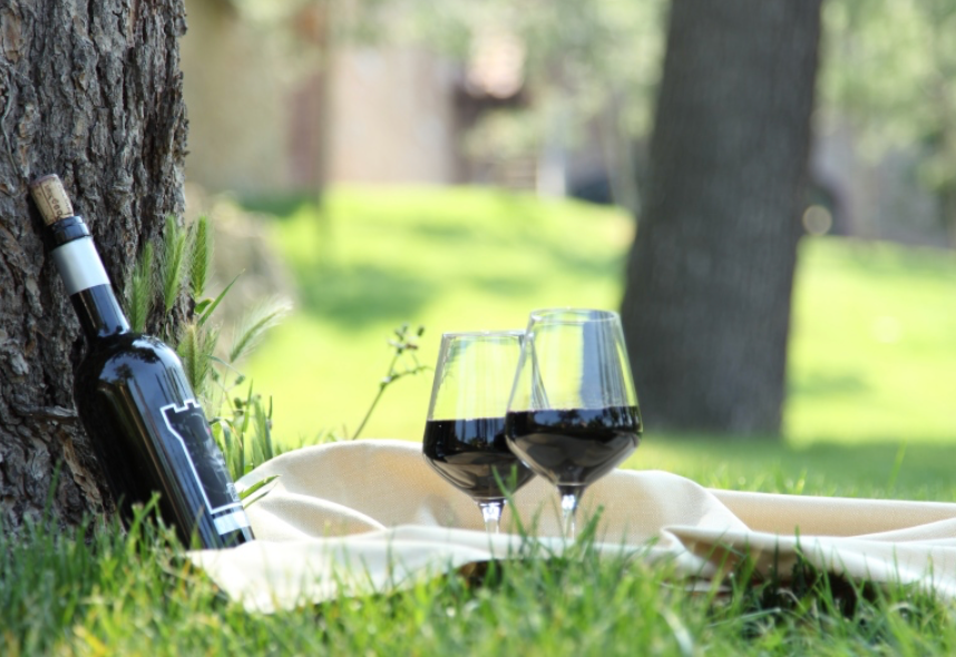 Alcohol in Toronto parks may become permanent 
