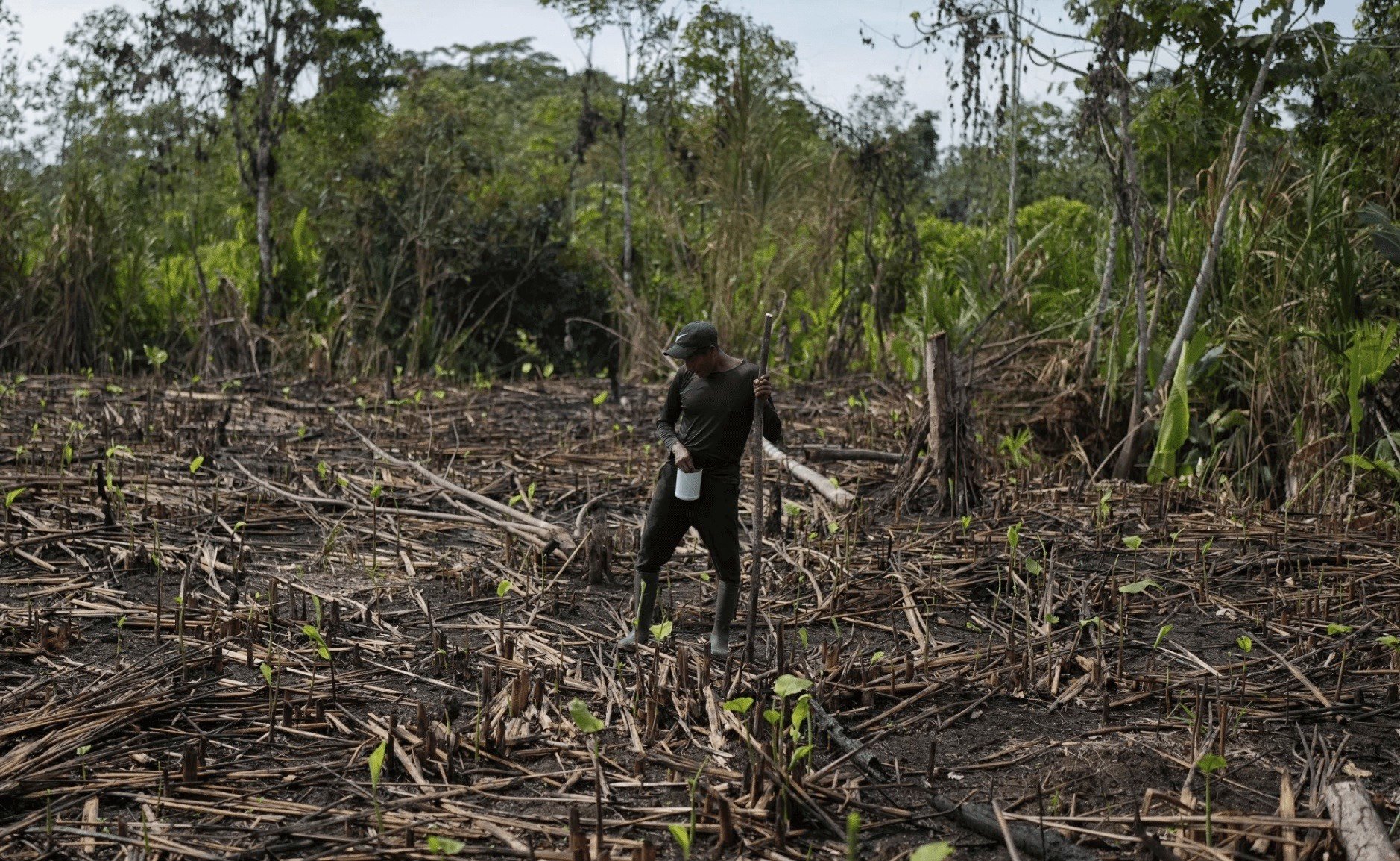 The once bustling jungle route along the Darién Gap has crashed