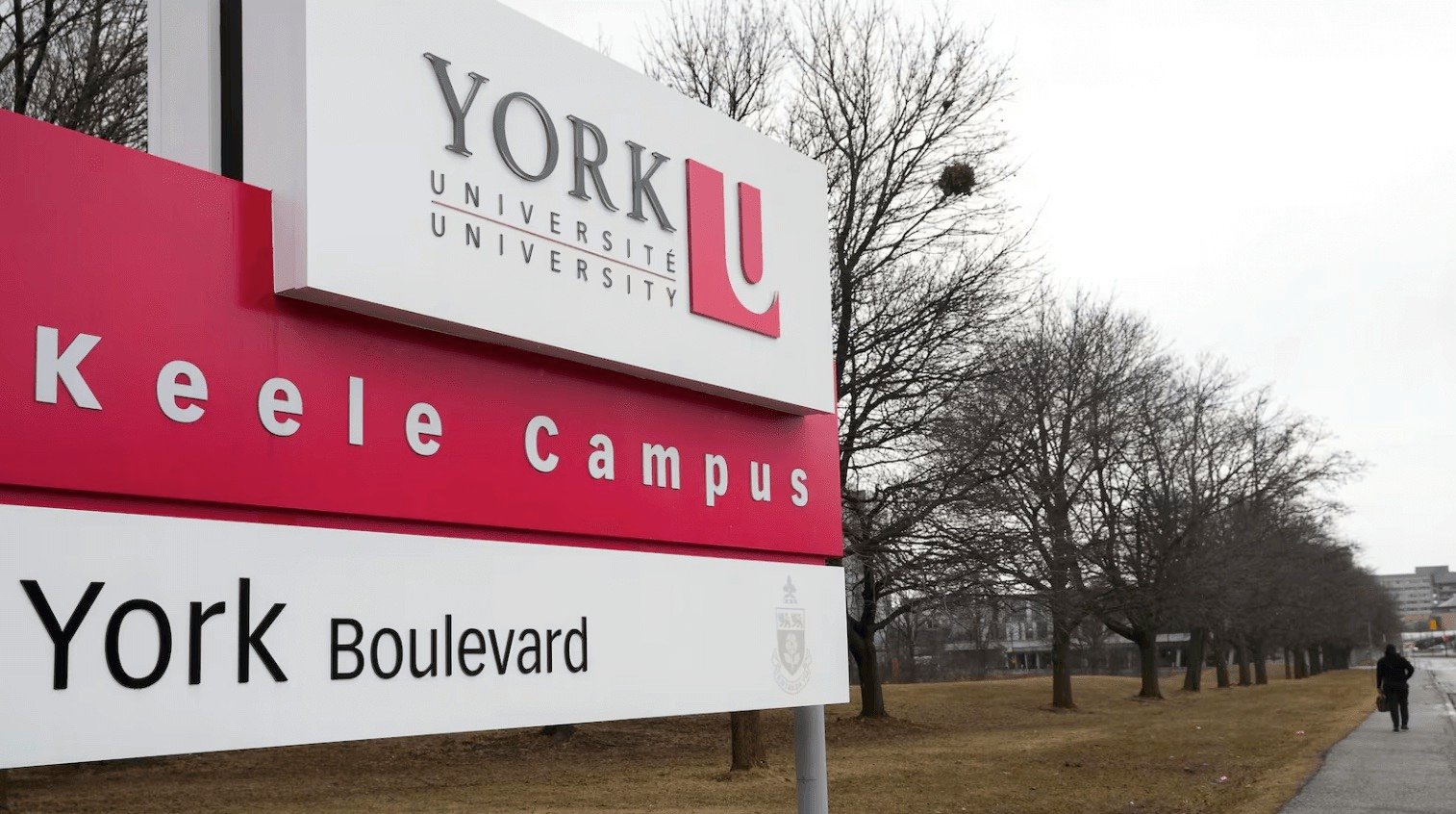 York University mistakenly sends acceptance emails to some rejected applica …