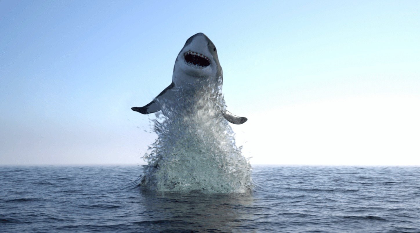 “Cocaine Sharks” Are Real — Brazilian Study Finds Traces of Drug in W …